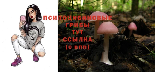 гашиш Абаза
