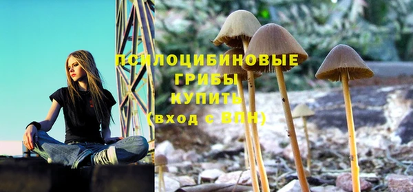 метадон Пересвет