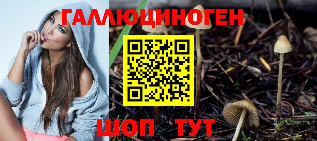 Новоалтайск  Галлюциногенные грибы MAGIC MUSHROOMS  Вход с VPN 